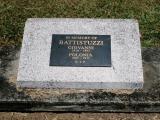 image of grave number 879145